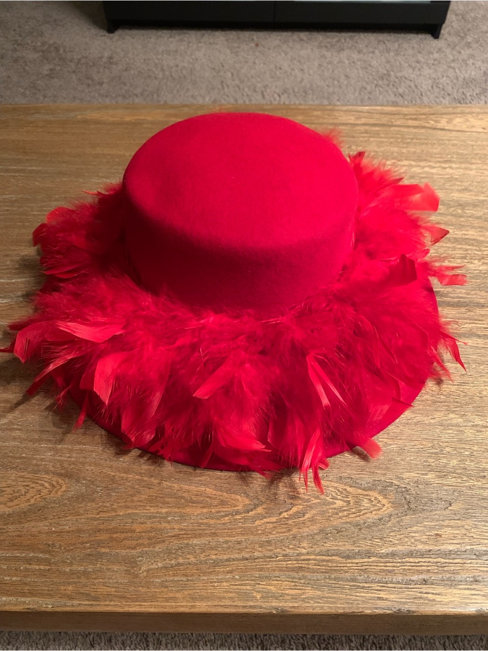 Betmar Red Feather Trim Kentucky Derby Hat Wool Fedora Hat Wide Brim